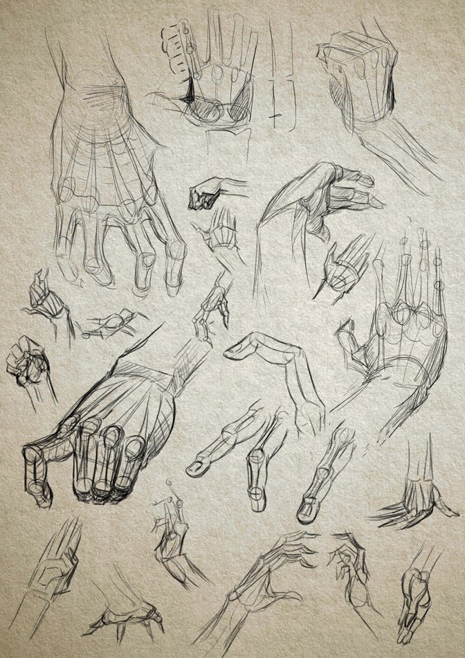 25 Study of Anatomy Drawings  Best Tutuorial by Veri Apriyatno1