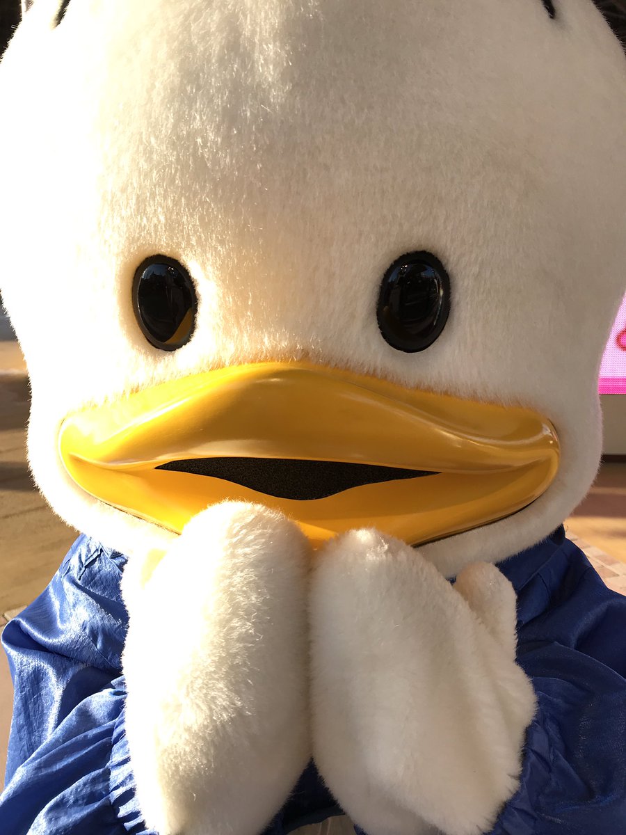 アヒルのペックル