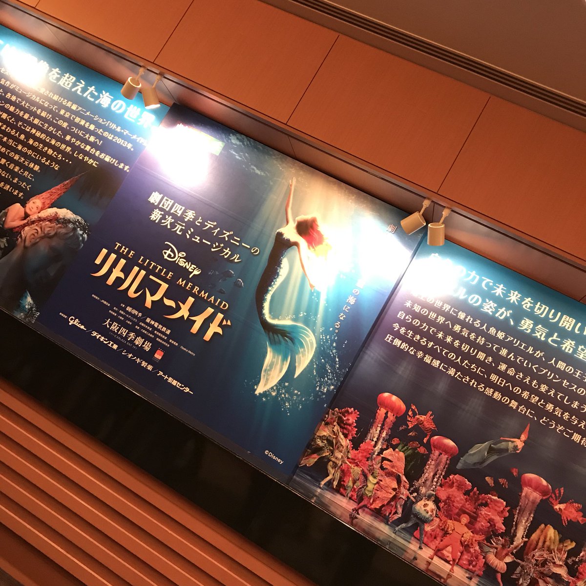 T0D4M0M9's tweet photo. 演劇部のメンバーでリトルマーメイド見てきた‼︎
もう最高すぎた！
オススメやで‼︎ほんっまに‼︎ https://t.co/tc6R1b3nSg