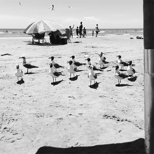 Bruce Lescalleet tweet media