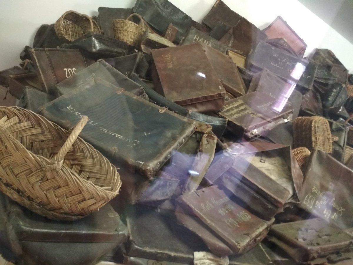 Hlr2906Hilary's tweet photo. Hoy es un buen día para #RecordarYNoOlvidar el #Holocausto Hace 74 años de la liberación de  #Auschwitz @IsabelFraca @AgustinBotines @Anabell74Ana @BermeFer @NIEBLA75 @EstrellaFlores9 @zandolove @Jonxuxito @Tonisanchezsanc  #HolocaustMemorialDay https://t.co/Fxj1rBTSuN