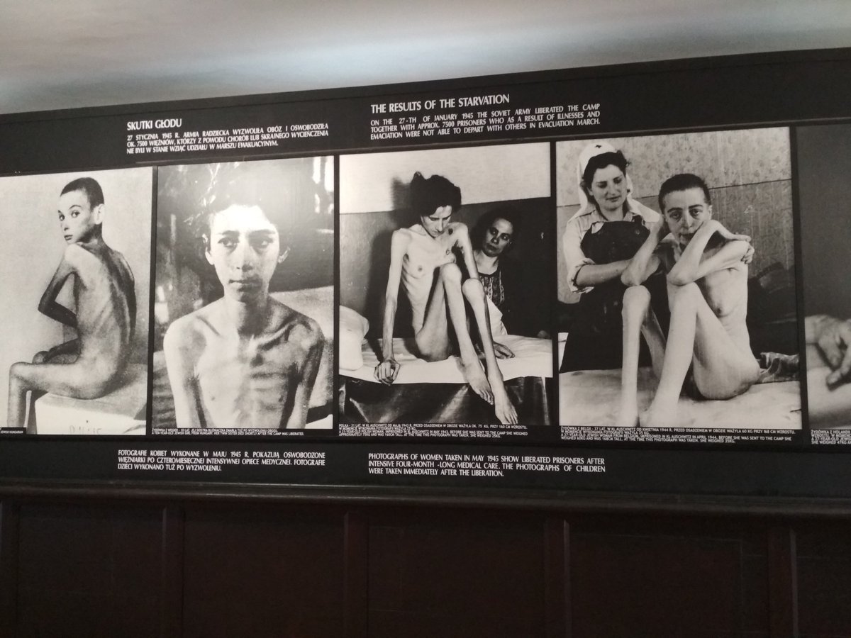 Hlr2906Hilary's tweet photo. Hoy es un buen día para #RecordarYNoOlvidar el #Holocausto Hace 74 años de la liberación de  #Auschwitz @IsabelFraca @AgustinBotines @Anabell74Ana @BermeFer @NIEBLA75 @EstrellaFlores9 @zandolove @Jonxuxito @Tonisanchezsanc  #HolocaustMemorialDay https://t.co/3zMd2WDqEl