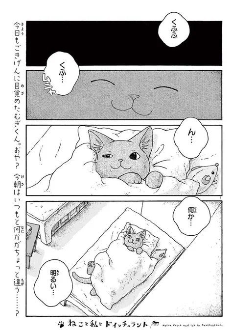 さてさて。『#ねこと私とドイッチュラント』17話め更新されています。
https://t.co/EsJui0Up4J  
今回はクリスマスマーケットに行く日、昼過ぎまでのお話です。
ちょっと短いですが、次回たっぷりめになので、続きをどうぞお楽しみに。
次回は2月24日(日)です。
楽しんでもらえれば幸いです(^ω^) 