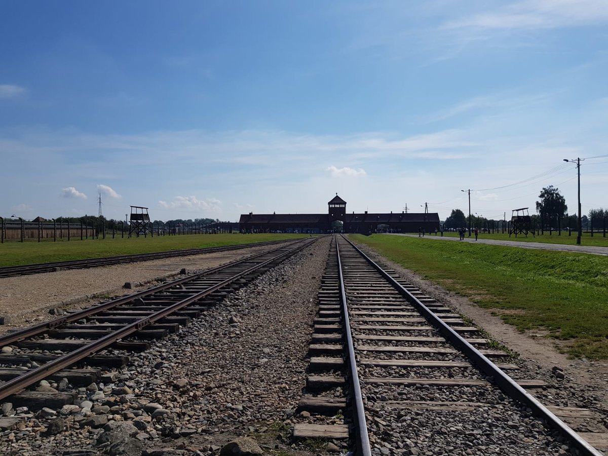 Hlr2906Hilary's tweet photo. Hoy es un buen día para #RecordarYNoOlvidar el #Holocausto Hace 74 años de la liberación de  #Auschwitz @IsabelFraca @AgustinBotines @Anabell74Ana @BermeFer @NIEBLA75 @EstrellaFlores9 @zandolove @Jonxuxito @Tonisanchezsanc  #HolocaustMemorialDay https://t.co/y5f5NoppG1