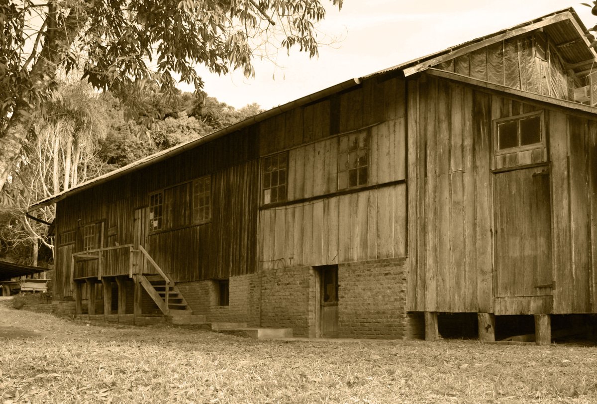 Molino antiguo de yerba mate Roapipo
En la antigua chacra de Don #Albertoroth se encuentra el primer molino mecánico de yerba mate (tipo trapiche) del Alto Paraná, que el pionero instalo junto a su cuñado Paul Würgler en los años treinta.
fundaroth.org/index.php/es/v…