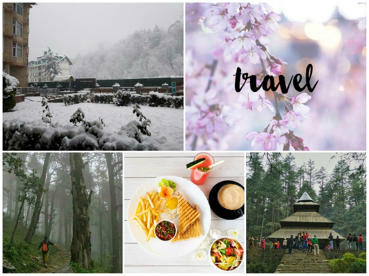 TheManaliInn's tweet photo. Manali in winter has a whole new look, it’s like someone has spread a white sheet on this beautiful land. It’s just about #snow, snow and more snow as it envelopes all senses.  

For the best holiday in #Manali contact our Travel experts at 1800113939 https://t.co/N9ErQyaXUo