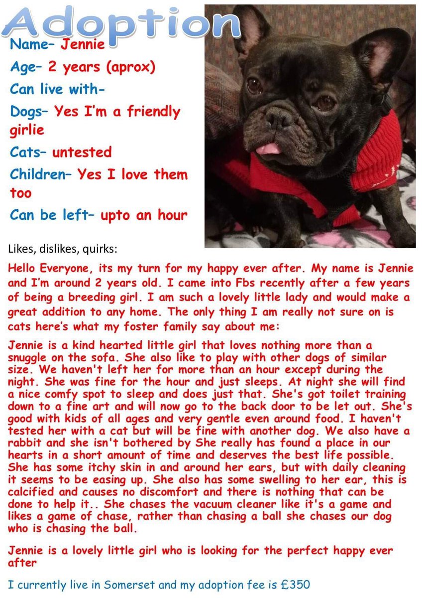 FB_Saviours's tweet photo. #adoptionpost #adoptdontshop #breedforhealthnotforwealth #frenchbulldogsaviours @P_Wicks01 ๐ https://t.co/E6VUQ0dpwB