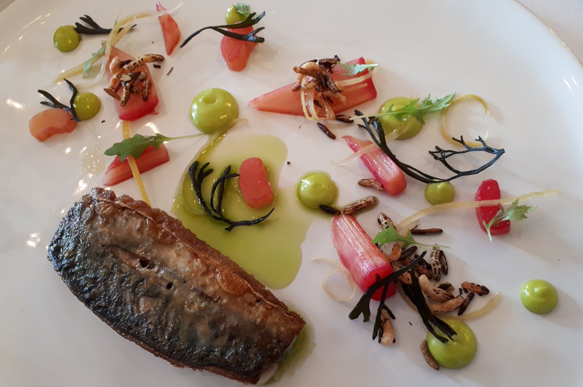 MichelinGuideUK's tweet photo. You can sense the passion on the plate @themountkitchen @mountsomerset  #Henlade #Somerset https://t.co/iQmDFg9ug6