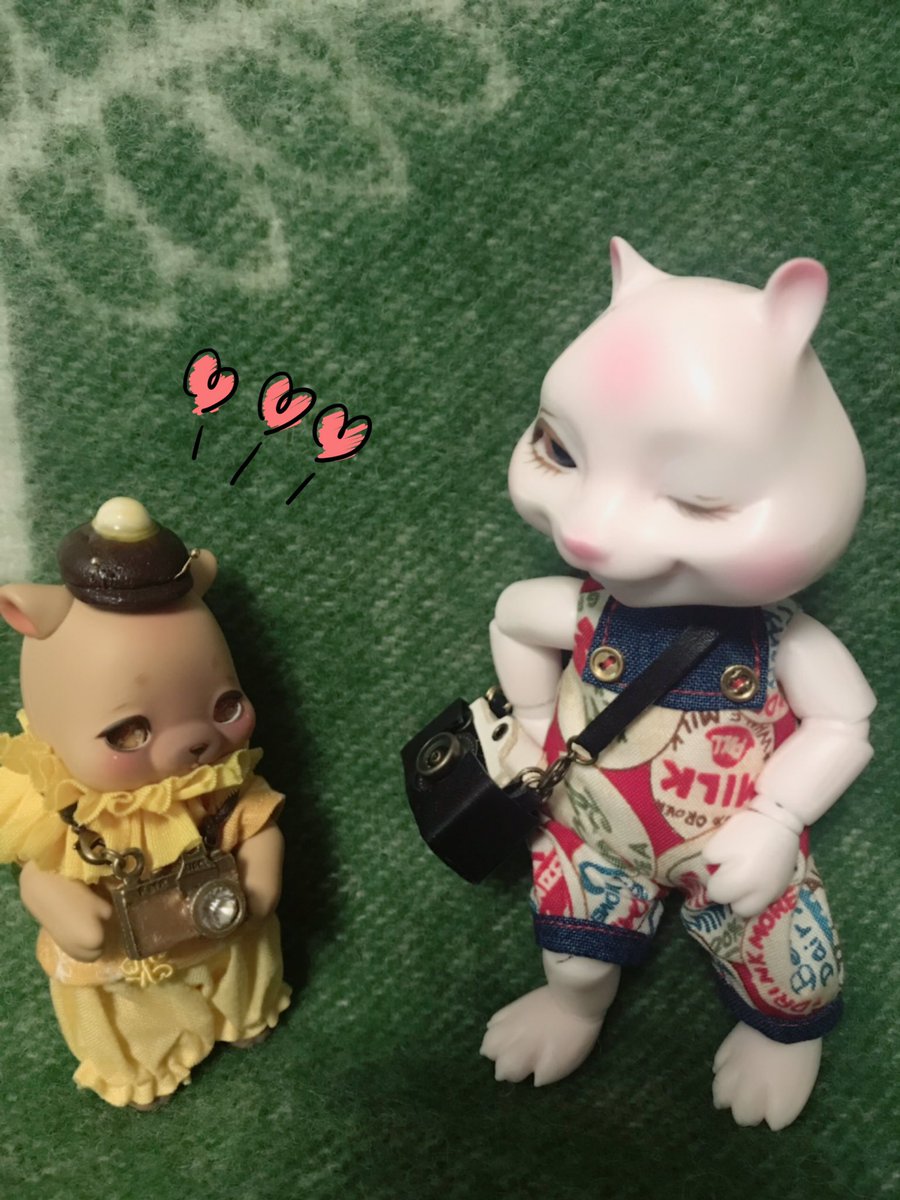 satula_bear's tweet photo. BlueBerryBat様(@blue_berry_bat )で、のすけ用カメラ発見😍💕嬉しそう🐻🐝
ショップマロン様(@marron_dolly )で、のすけの眼鏡と寝袋ゲットん❤ https://t.co/K2eox2clOk