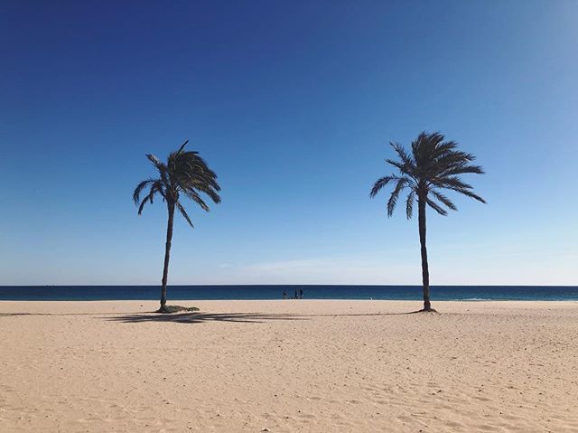 suxsieq's tweet photo. #ShotOniPhone #beach #lazysundays #urbanova #suxsieq #alicante #igersalbacete #igersalicante  ##ShotOniPhone#instagramersgallery #igerselche #alicante #alicantegram #igersspain #Igerscomunitat https://t.co/xlgJSOxIRS https://t.co/PoiOM073cW