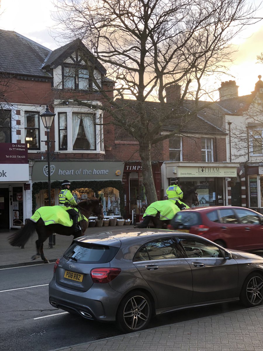 Millie & Mini tweet media