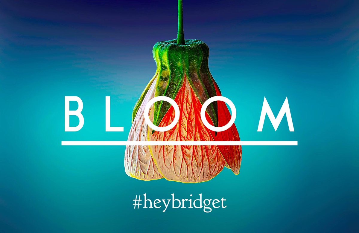 BCavanaugh's tweet image. It's your year. 

#bloom #heybridget #worthy #glownation