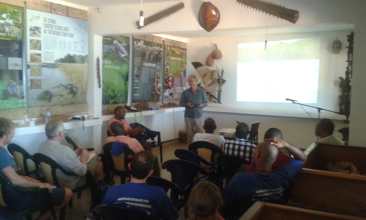 José A. Alves tweet media