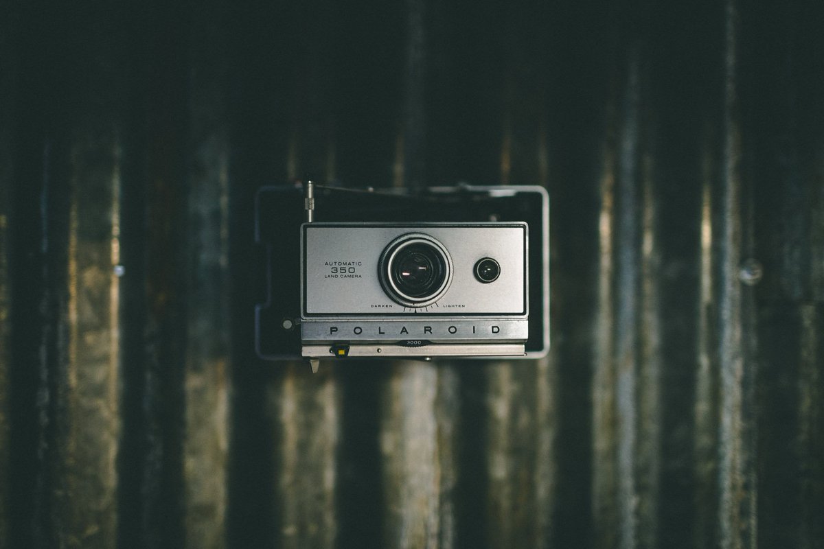 Hope everyone is having a great Sunday! 😎📸