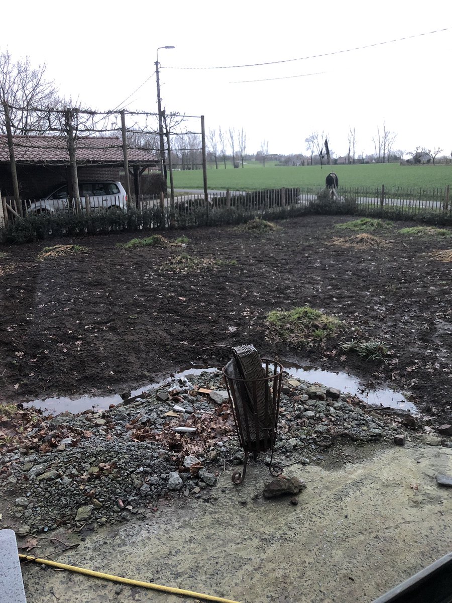 #vogeltelweekend #natuurpunt was een ‘succes’: resultaat 1 vrouwtjes vink, tijd om de tuin aan te pakken en vogelvriendelijk te maken! #tuindesignverleyen #ecologischetuin #tijdvooreennieuwverhaal