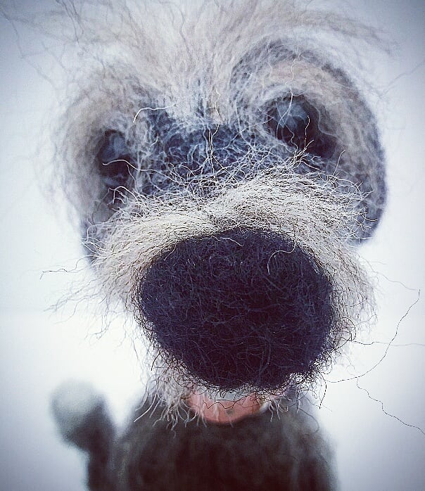 Greetings From Greytfelties On Twitter Stay Positive Folks