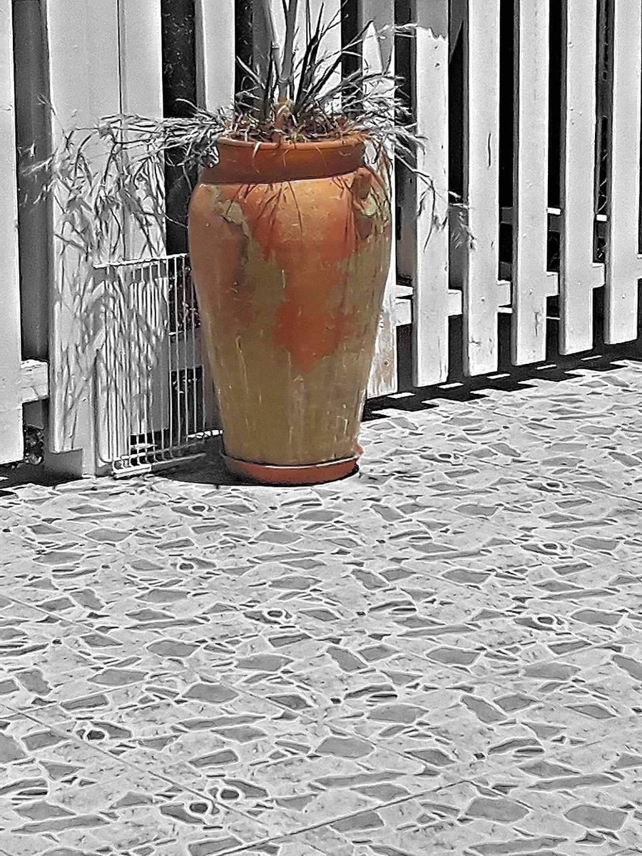 Nelly_Badescu1's tweet photo. When your life is black and white ..
Make sure you dream in colour ..
•
•
•
•
•
#photooftheday #webstagram #bestoftheday #funny #photography #filters #photographer #photoart #research #check #itout #eyes #what #do #they #see https://t.co/hKOK3zPOGP
