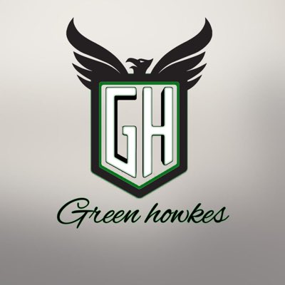 Green_Hawks_fc's tweet photo. #NewProfilePic https://t.co/MimJepisDj