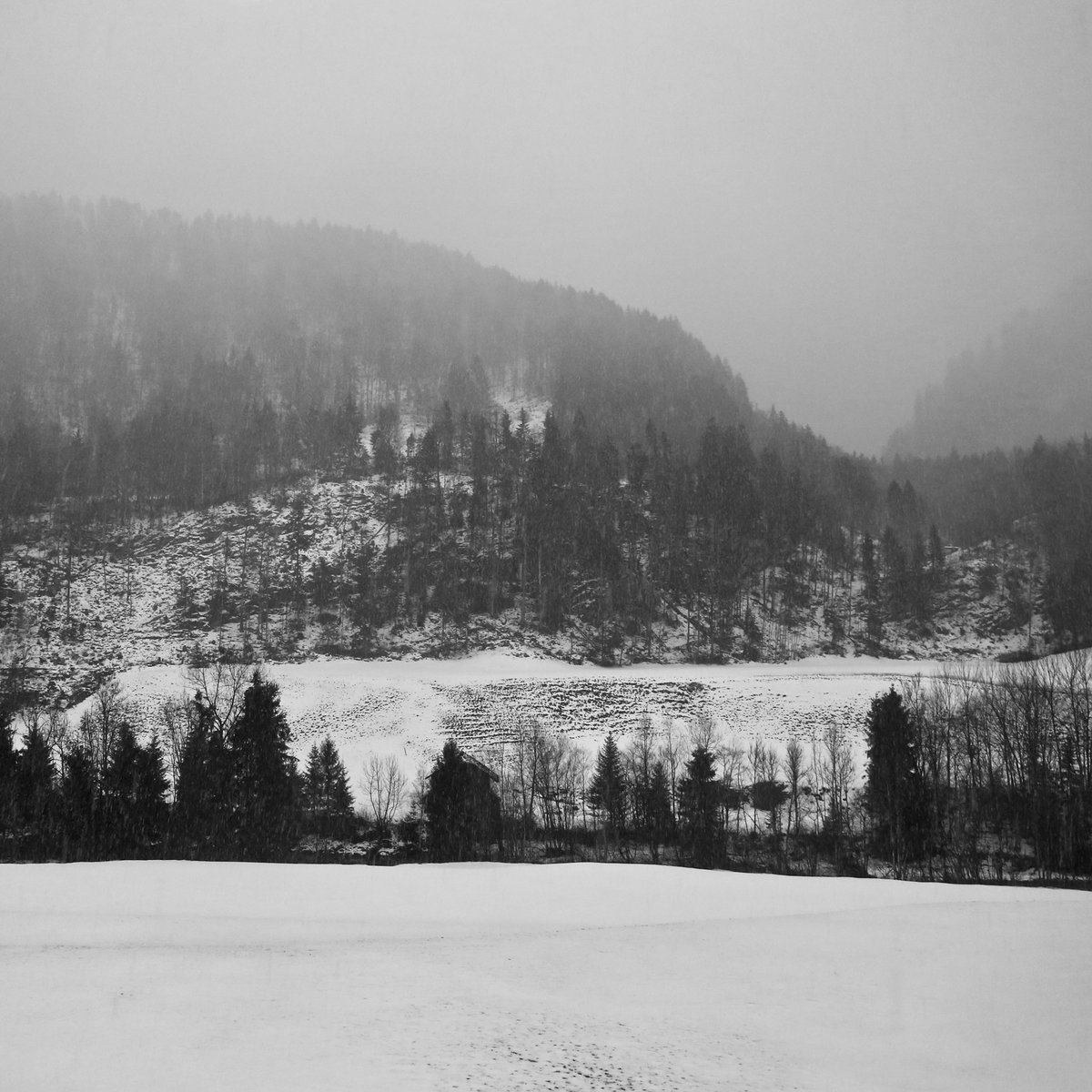 VincentArlettaz's tweet photo. Snowy times…
#Snow #GoldenPass #MOB #MontreuxOberlandBernois #GoldenPassLine #BelleEpoque #Train #Legend #Tradition #History #Mountains #Alps #Vaud #Switzerland @MySwitzerland_e 

https://t.co/x7n3ncqGwU https://t.co/GeN4bIIRxR
