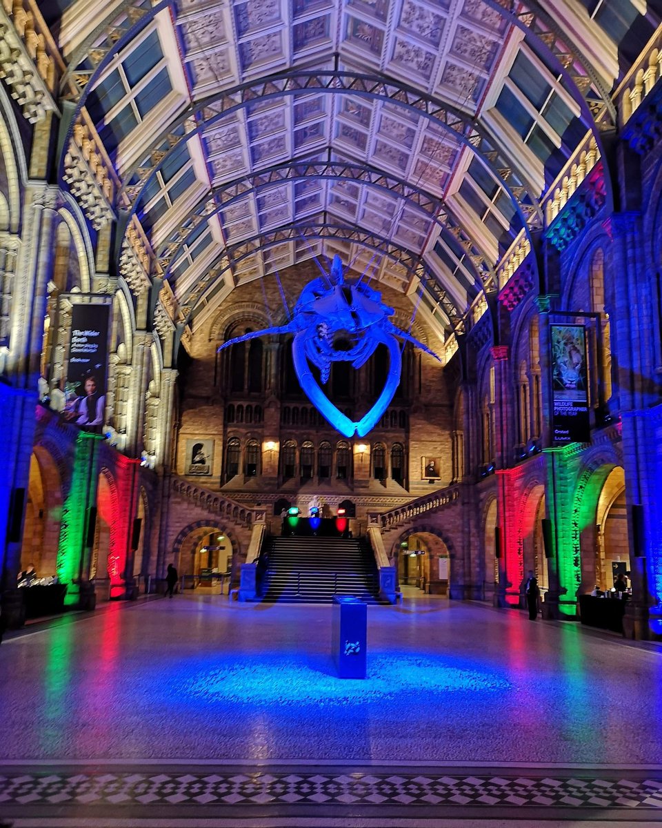Vanityscareart's tweet photo. Silent disco at @NHM_London was amazing! Photos by @LaurenKGhani #SilentDisco #Fridayfun #beforethecrowds https://t.co/63csY3Vxge