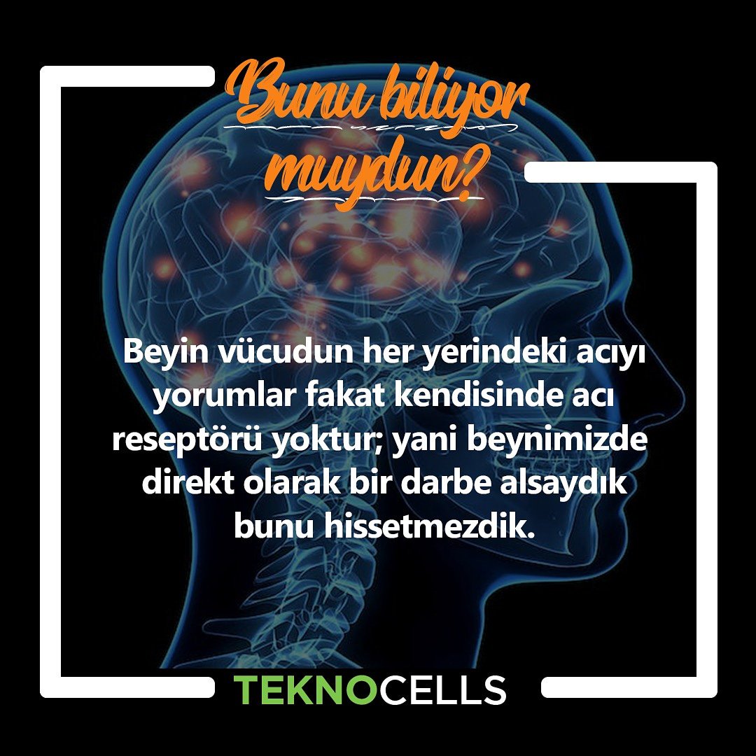 teknocellscom's tweet photo. #bunubiliyormuydun https://t.co/rSxiCXlTf9