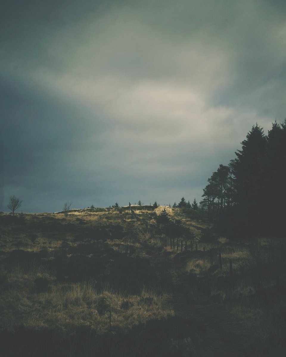 rjpimage's tweet photo. #wherethewindhowls #bleak #hilltop #exploreandcapture #sunday #stroll #natural #light #woodlands #landscape #beaconfell #tress #sony #zeiss #55mm @beaconfell @visitlancashire @sonyimages @sonyalpha @zeisscameralenses @icanhub https://t.co/KWe4ev719A