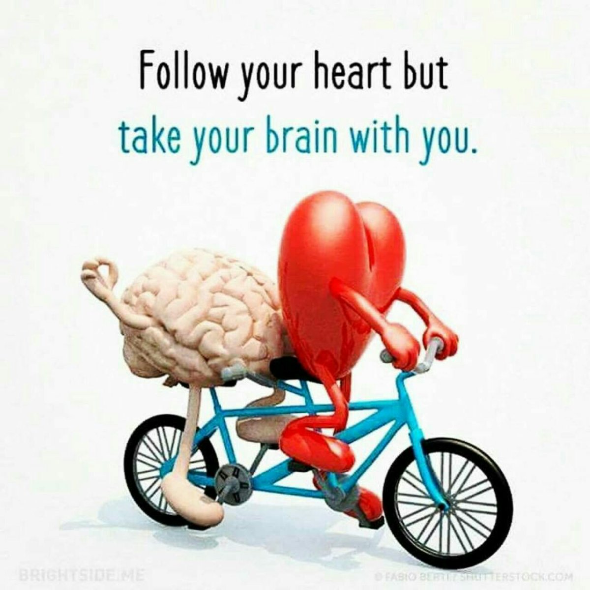 LI_TMS's tweet photo. أتبع قلبك ، ولكن خُذ عقلك معك ..! https://t.co/h7UG7QNIwz