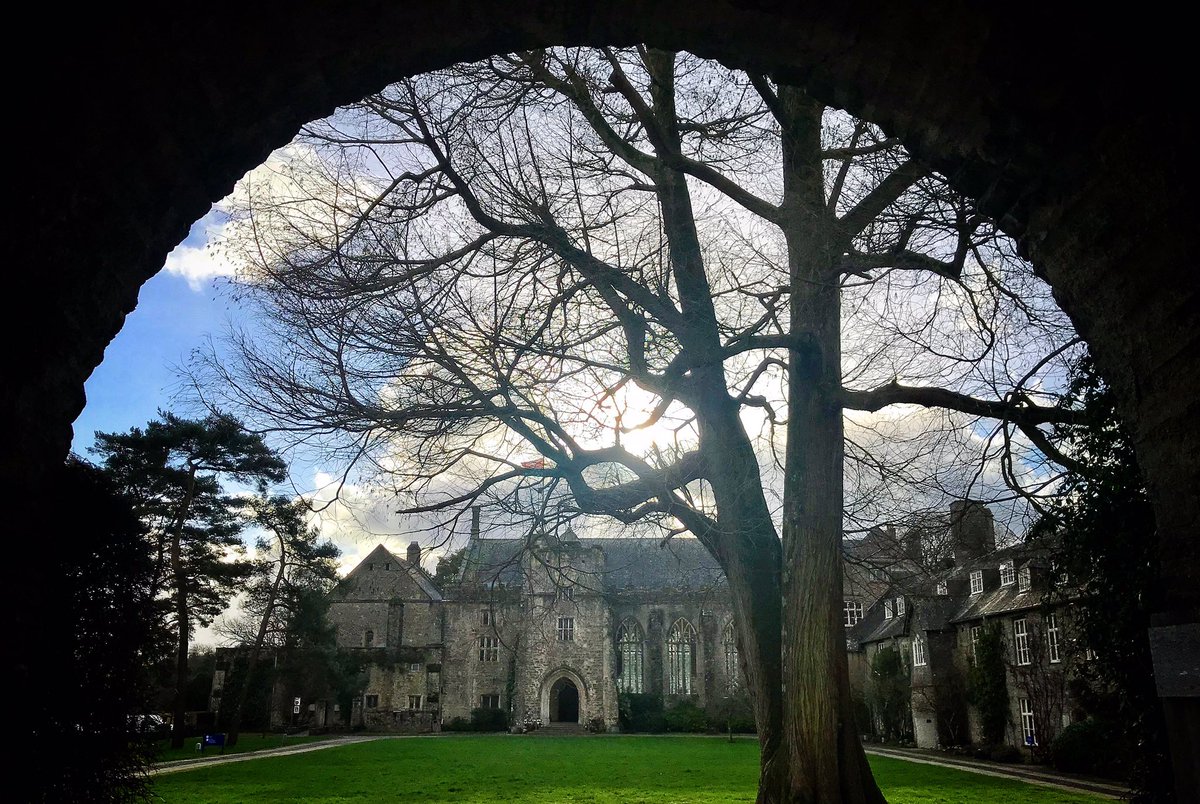 Playing Dead tweet media