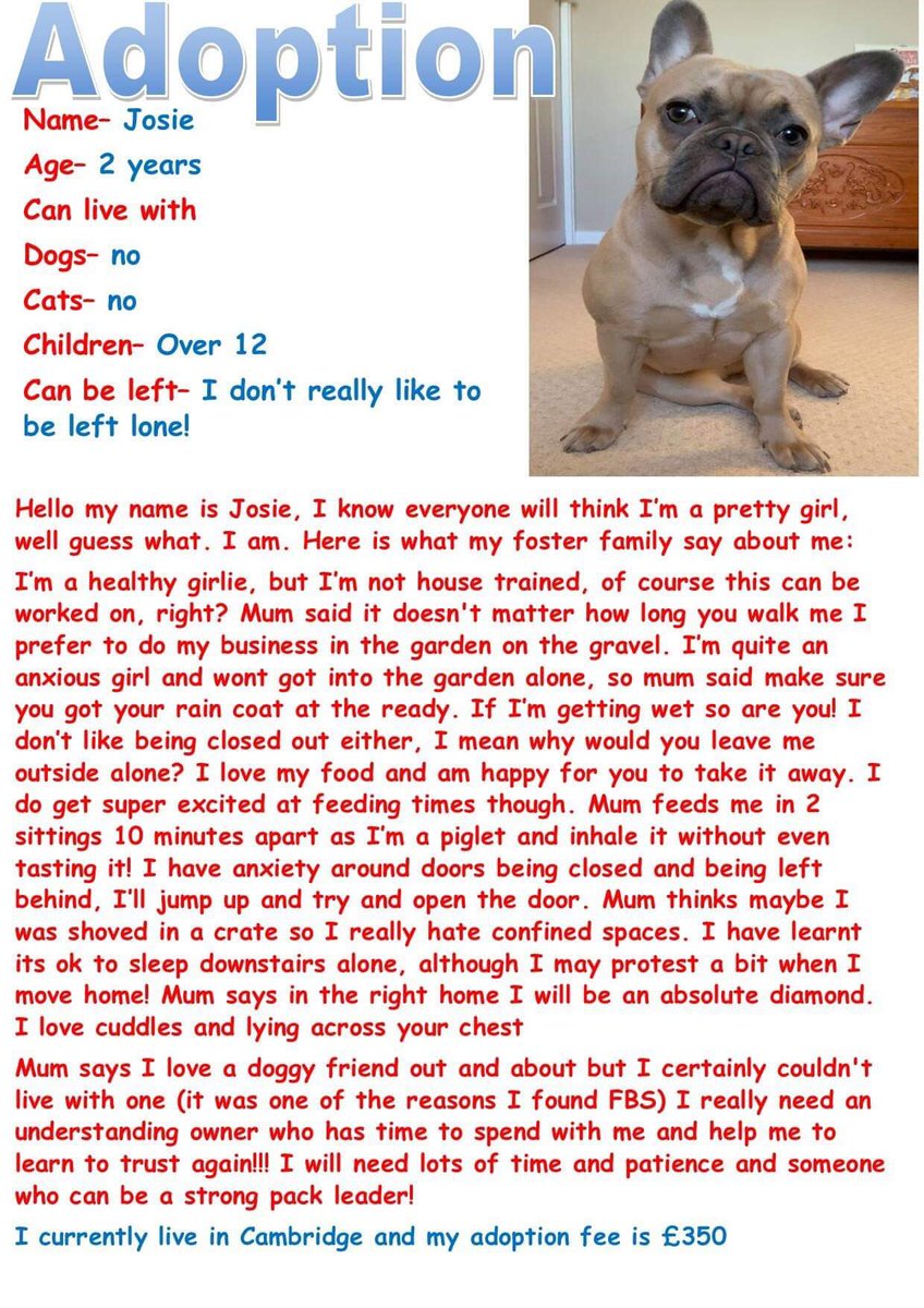 FB_Saviours's tweet photo. #adoptionpost #adoptdontshop #breedforhealthnotforwealth #freschbulldogsaviours @P_Wicks01 ๐ https://t.co/ELjkFXeZal