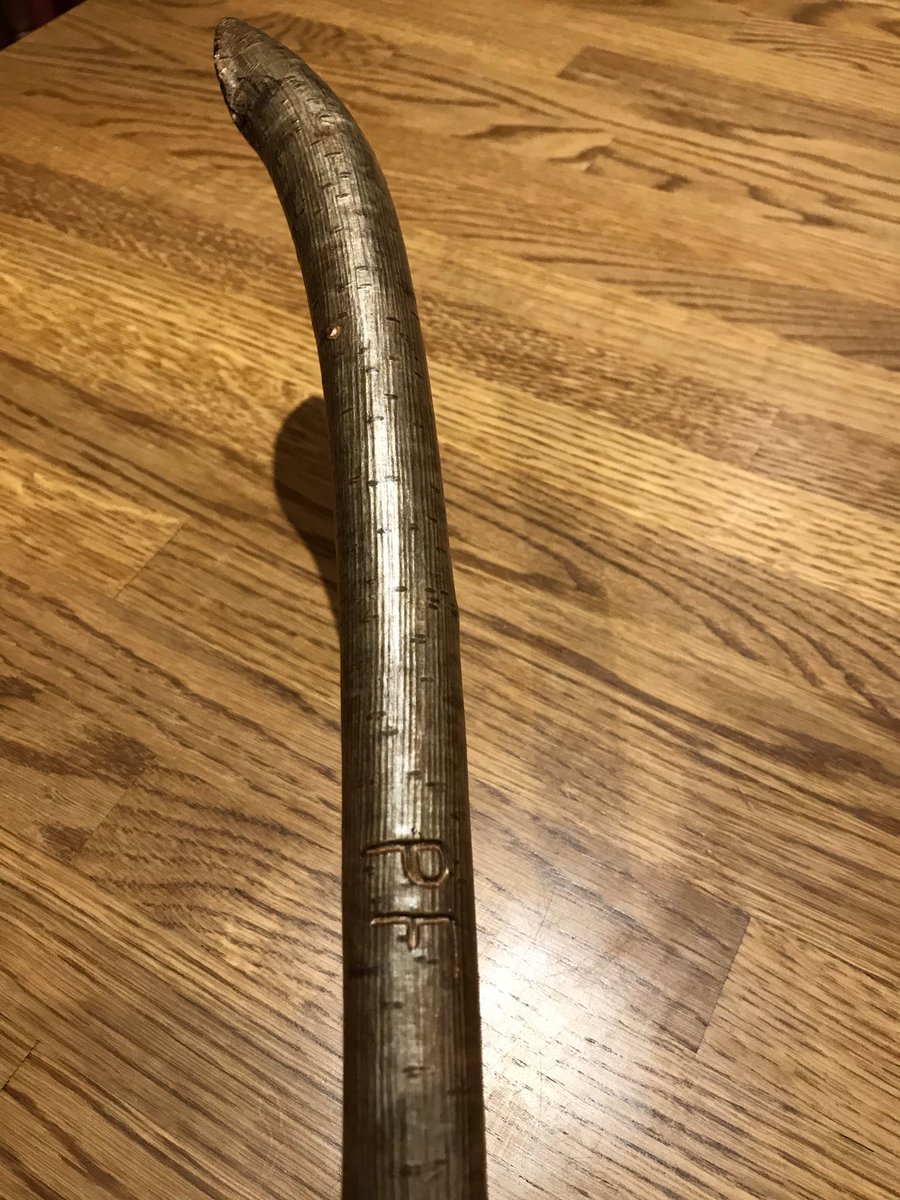 Just finished a hazel walking/herding stick, hope it has a good career #sticklife