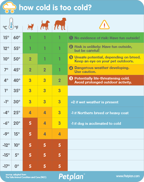 PETfection's tweet photo. How cold is too cold for a dog? Well it depends on the size and type... check out this handy chart! #winter #cold #temperatures #dogs https://t.co/X9tuIWv9HJ