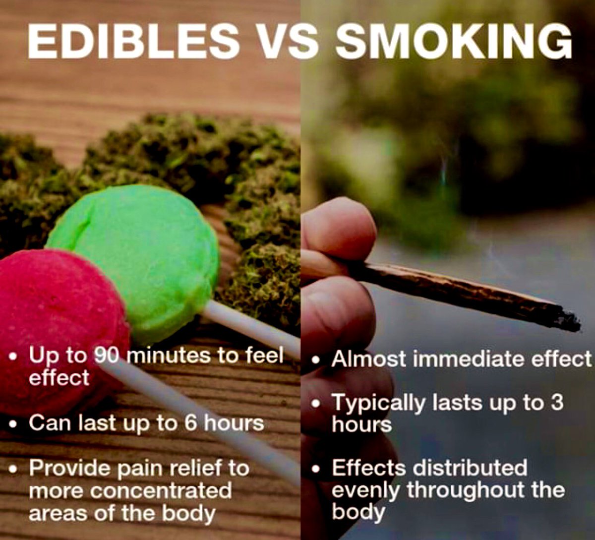 NorCalStoner420's tweet image. “The High from #Cannabis #Edibles is More Focused in the Body. Compared to the Edibles, Smoked #Marijuana Tends to Center Its High More In the Head”...