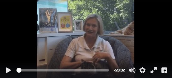 JoanneRighetti's tweet photo. Cat Q&amp;A Video with Purina and Dr Jo - at Pet Problems Solved - https://t.co/Yl4sH6VuQD https://t.co/wDnGNDbu98