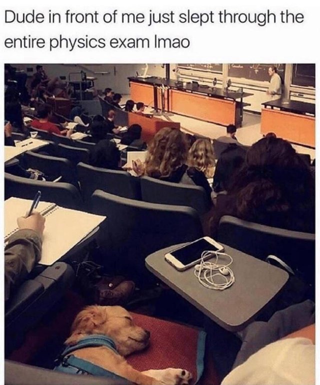 WholesomeMemes (@wholesomememe) on Twitter photo 