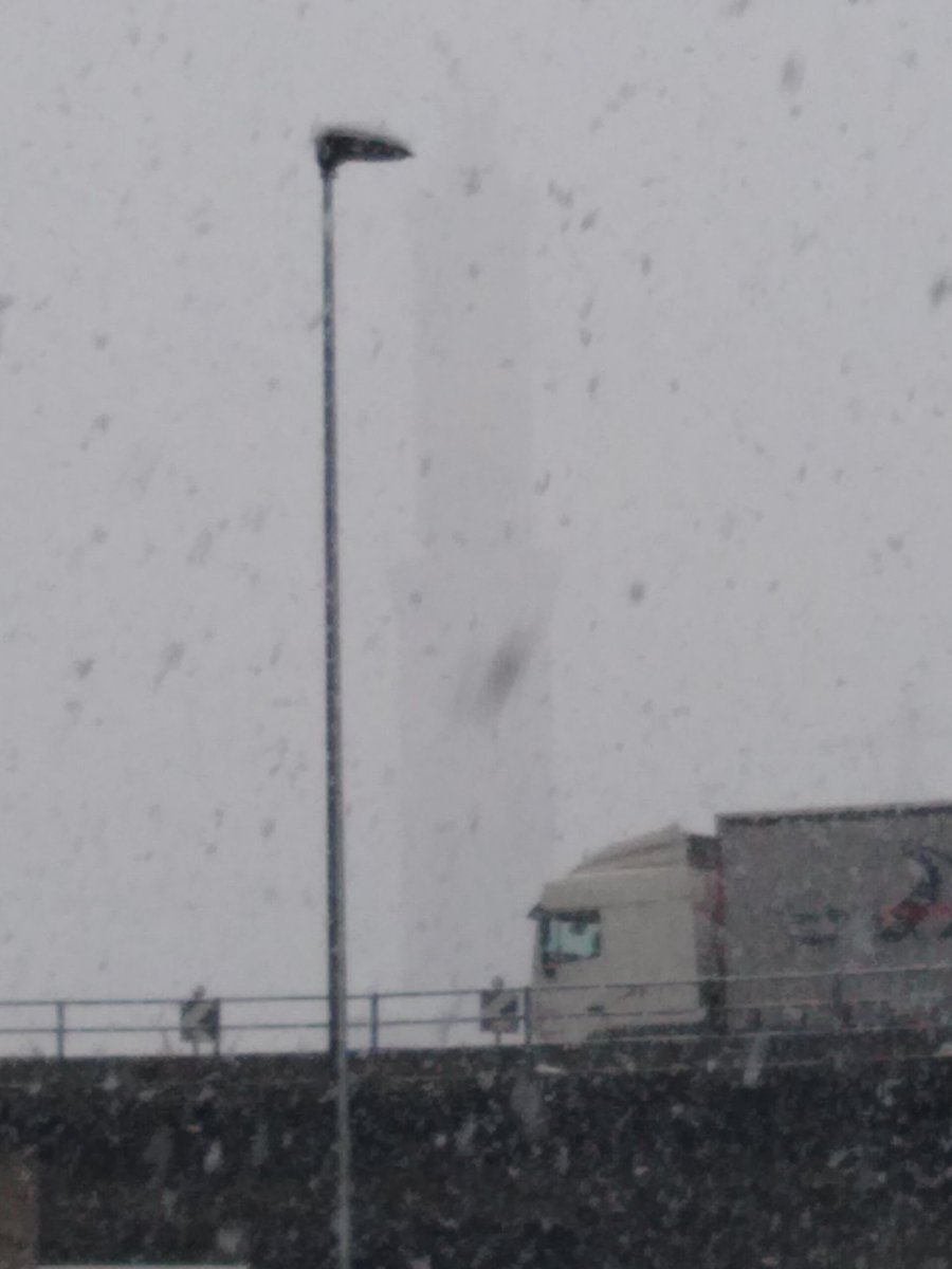 #trovalalanterna tweet media