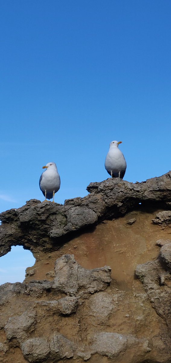 GrandBoutDeBois's tweet image. #ShotonOnePlus #oneplus6 #OnePlusFrance #oneplus