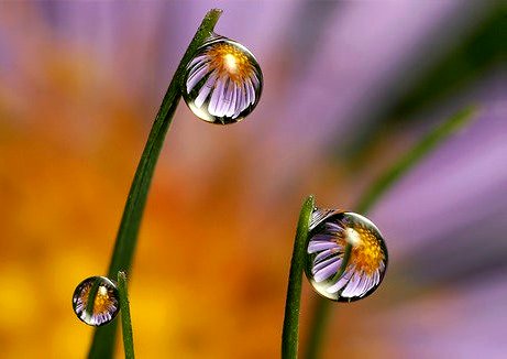 Good Afternoon Twitterverse.
I hope all are warm and safe in your worlds.
✨🌸🌹🦋😊😇😊🦋🌹🌸✨