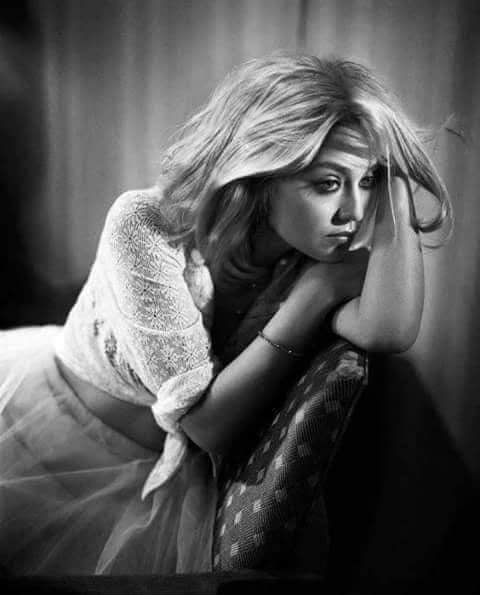 دوريتك 
دوريتك مالكيتك

كلت هسه يعود اليه 
وناطريتك