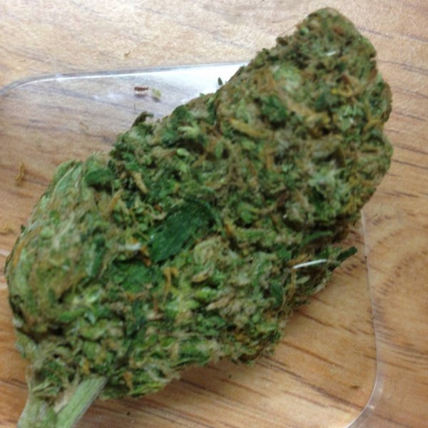 top grade marijuana DM your favorite dude #kusherman#hit me up for your deliveries in and out of USA +1(719)297-1986 #mangokush #greencrack #lemonhazle #aka #chemdang #OGkush and more DM