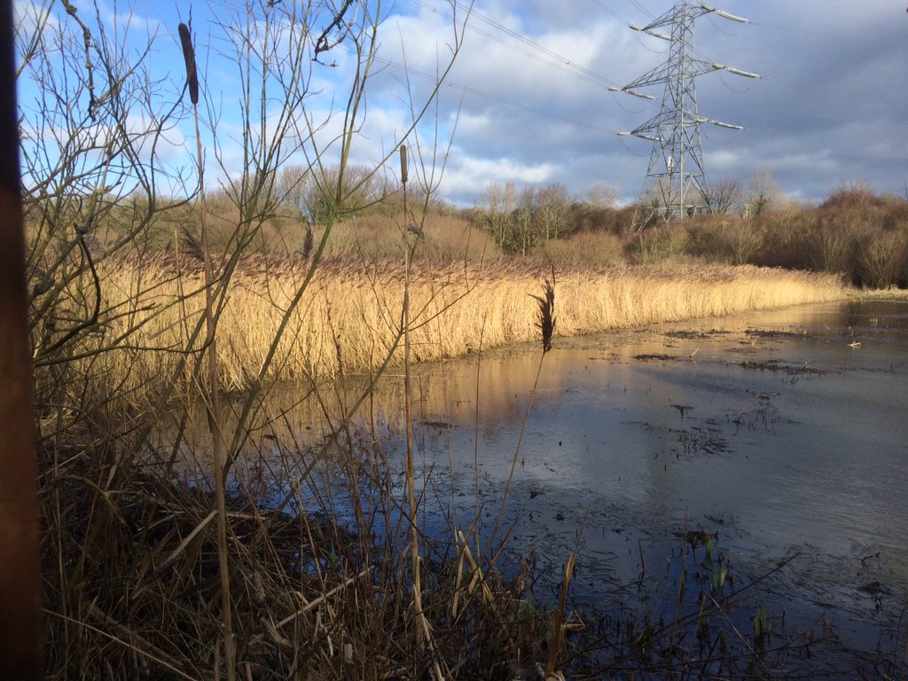 Lancaster & Morecambe Walking Group tweet media