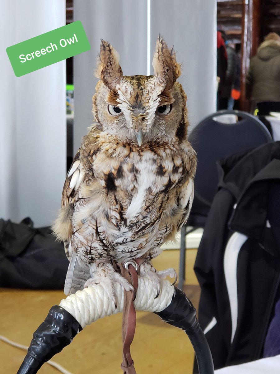 BioExplorations's tweet image. A few beauties we met today!