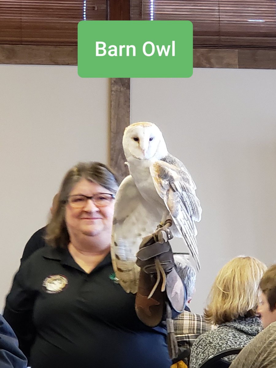 BioExplorations's tweet image. 