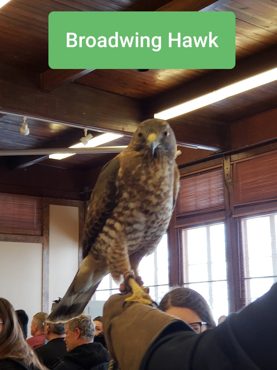 BioExplorations's tweet image. 