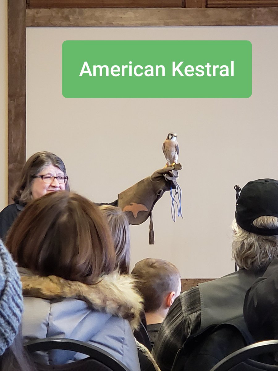 BioExplorations's tweet image. 