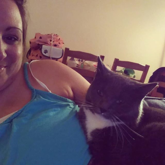 rutharbonne's tweet photo. 2am cat cuddles 😍😽 #catmummy #catcuddles #cantsleep #catlove #mybabygirl  #Gloria 💕💕 https://t.co/SKxq6FMKKi https://t.co/frM29PUkC1