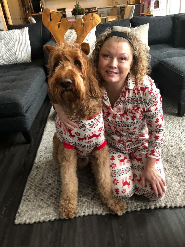 shellymartin67's tweet photo. @Steveokdwb Golden-doodles have sensitive stomachs.  Most need to be on a chicken free grain free diet.  The Costco Kirkland Nature’s Domain beef has zero chicken meal, it is grain free but has a healthy amount of taurine.   Pix for cuteness! https://t.co/jWYgOgM5WY