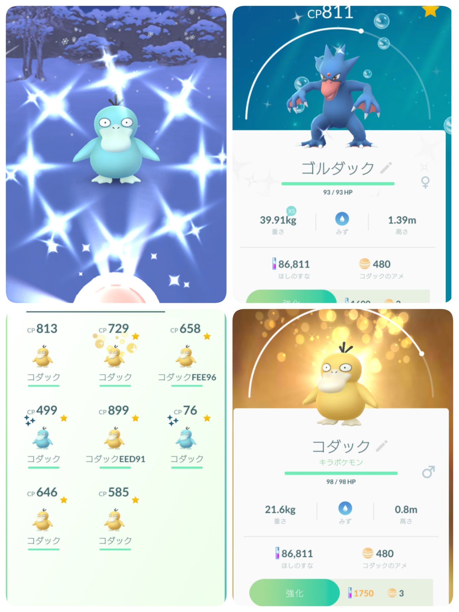 Nekojiro ポケモンgo コダックの色違いを求めて 初日に探し回って3匹ゲット 2日目は家族と水辺の観光地へ 残念ながら0匹f でもキラコダックを初ゲット 0時過ぎ そっと家を出てみたらコダックさんはひっそりといなくなっていましたw ちょい