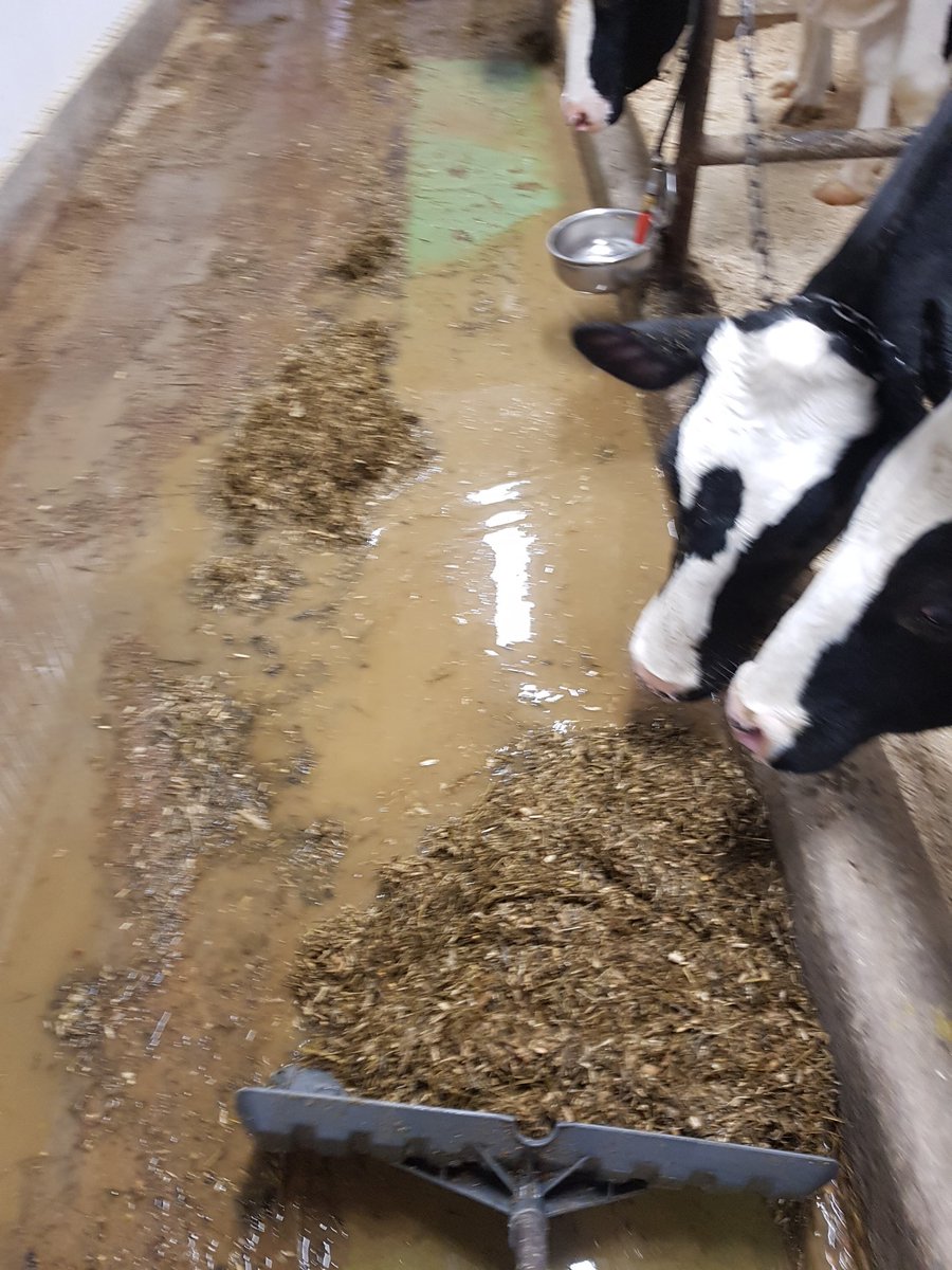 Manger flood = alot of needless damned work