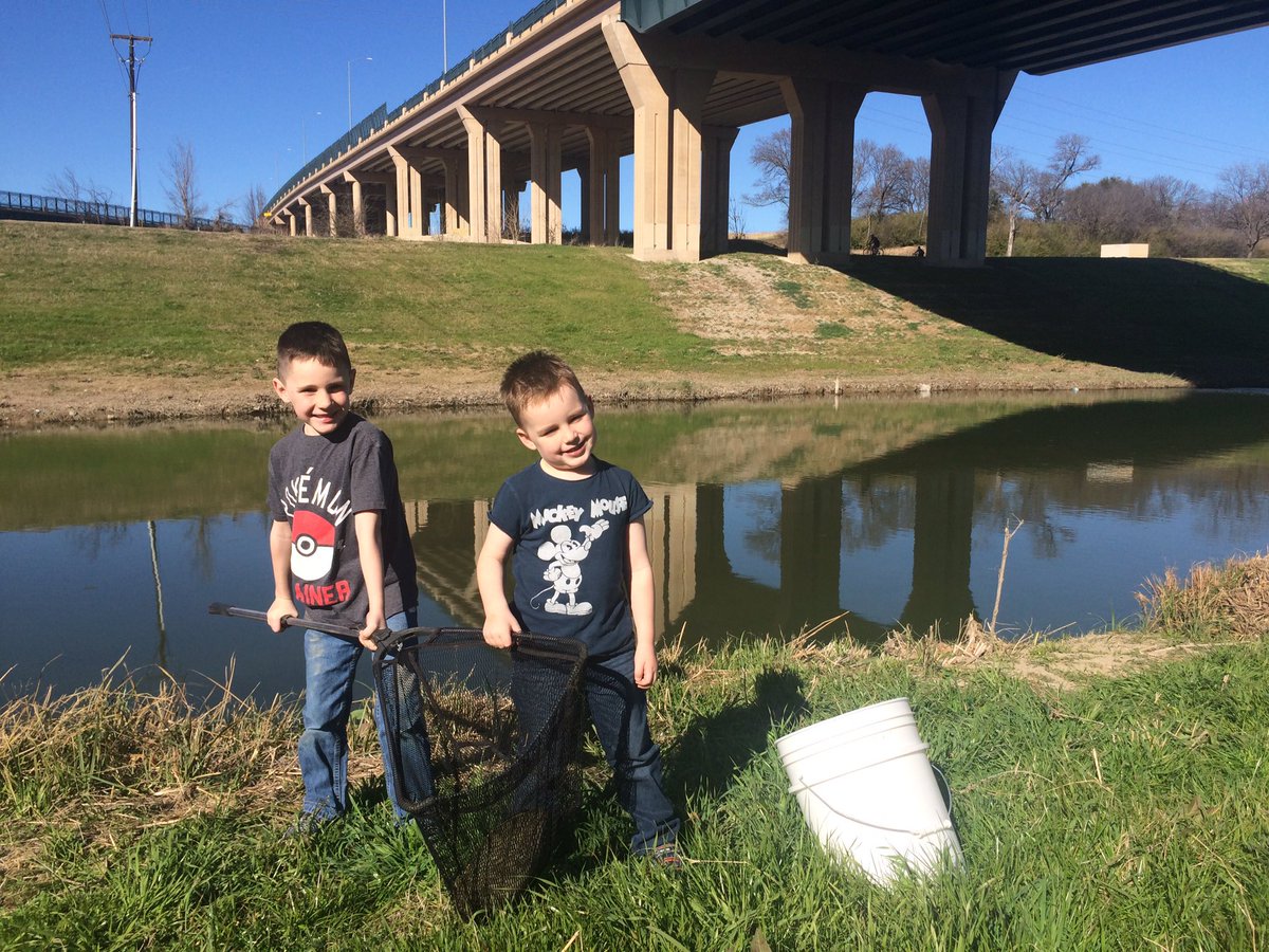 The January survey was a success! We caught 6 River Cooters this afternoon! #turtle #pseudemys <a href="/FW_Science/">Science Director</a> <a href="/TCU_COE/">TCU College of Education</a> <a href="/TCU_CSE/">TCU Davis College of Science & Engineering</a> #tcu #paschal #biology #scienceteacher #Science
