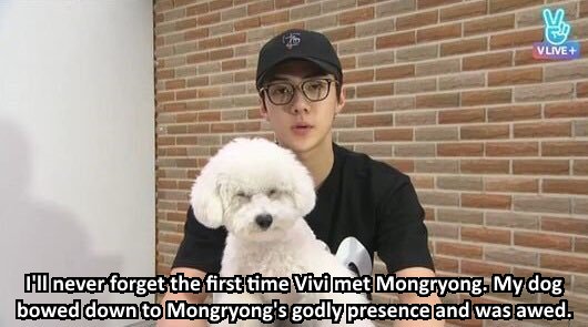 mongryong (@mongryongtwt) on Twitter photo 